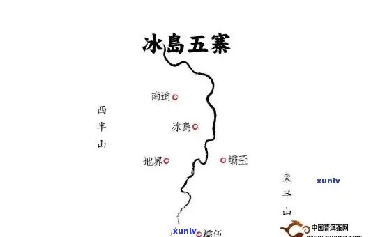 冰岛五寨古树茶特点和区别