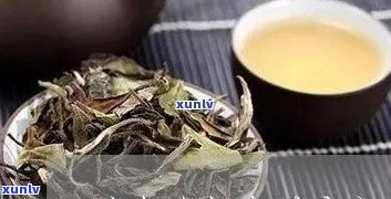 冰岛古树茶冲泡 *** -冰岛怎么泡才好喝