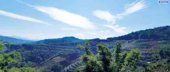 冰岛茶区有哪些山头景点，好玩的地方在哪里？