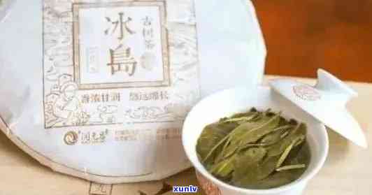 冰岛茶属于什么茶种