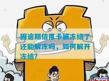 信用卡逾期冻结怎么解冻-信用卡逾期冻结了怎么恢复使用