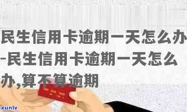 民生信用卡逾期1年-民生信用卡逾期1年会怎么样