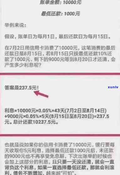 信用卡逾期哪里会显示还款日期和金额，结果怎样