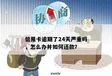 信用卡逾期了13天怎么办，应对信用卡逾期13天的有效措