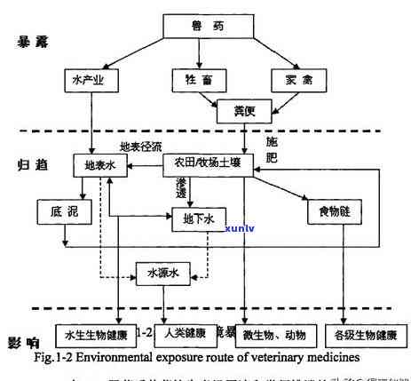 泰国人信用卡逾期-泰国人信用卡逾期怎么处理