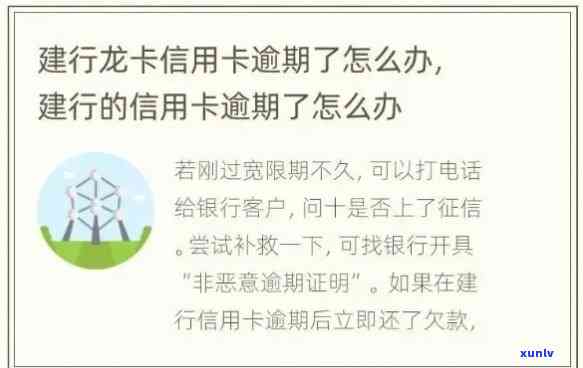 建行信用卡收到逾期提醒怎么回事，建行信用卡逾期提醒：处理步骤和解决 *** 详解