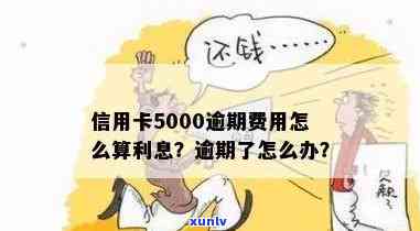 信用卡逾期5000怎么算-信用卡逾期5000怎么算利息