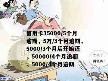 信用卡逾期5000怎么算-信用卡逾期5000怎么算利息