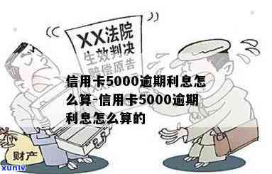 信用卡逾期5000怎么算-信用卡逾期5000怎么算利息