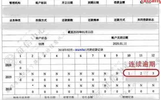 为什么我的信用卡逾期报告没有查到记录，显示逾期但是并没有