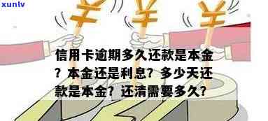 信用卡逾期主动还款是还本金还是利息，逾期还信用卡利息怎么算