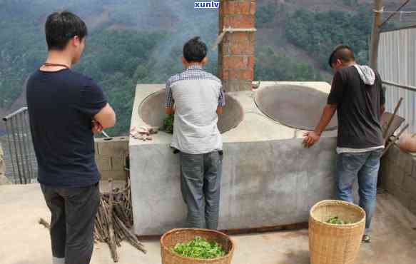 班章冰岛茶是地名吗-班章茶和冰岛茶的区别