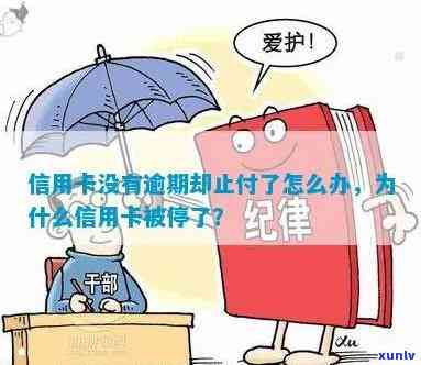 信用卡没逾期止付了会怎么样处理，没逾期银行把我信用卡停了，没有逾期的信用卡冻结了怎么办