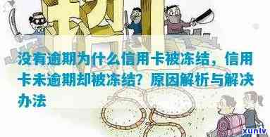 没有逾期为什么信用卡被停用了，还能用吗？冻结怎么办？