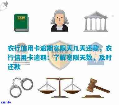 农业信用卡可逾期几天怎么办：新法规及宽限期