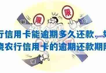 农业信用卡逾期几天不算逾期，为什么农业信用卡逾期几个月都起诉了