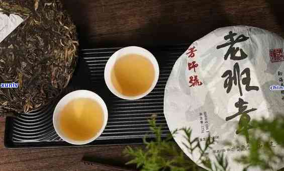 普洱老班章，探索普洱老班章：品味古树茶的香醇与历