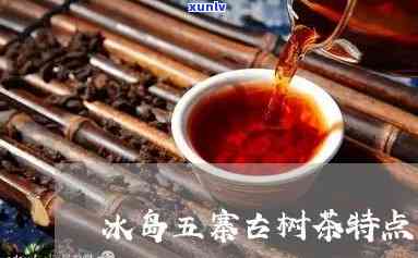 冰岛五寨熟普茶特点介绍：冰岛五寨普洱茶特点