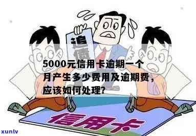 信用卡5000逾期费用怎么算及处理-信用卡5000逾期费用怎么算及处理的