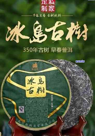 冰岛老寨古树茶熟普-老寨冰岛古树普洱茶