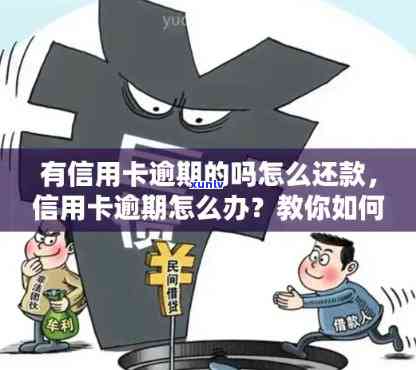 信用卡已经逾期怎么还款-信用卡已经逾期怎么还款啊