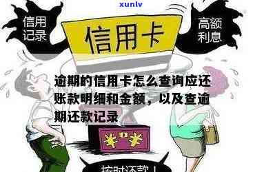 信用卡逾期怎么查金额-信用卡逾期怎么查金额明细