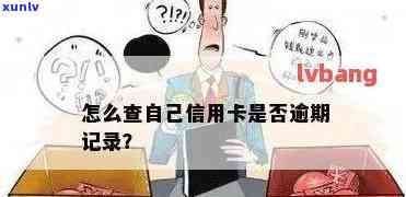 怎么能查出信用卡逾期记录和情况