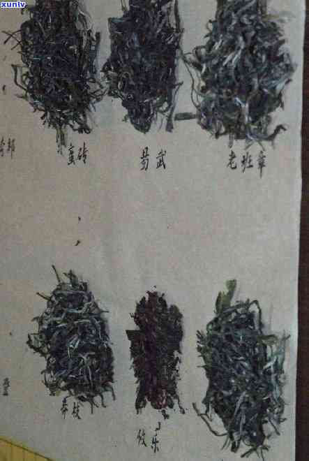 老班章普洱茶的泡法及口感功效