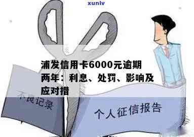 浦发信用卡6000元逾期两年处理及利息