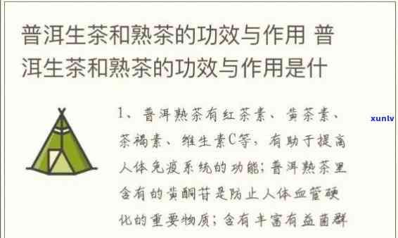 老生普有哪些功效，老生普属于什么茶，老生普洱茶的作用与功效，老生普的特点，老生普和熟普的区别