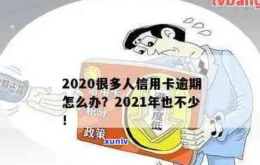 蓝花翡翠手镯购买指南：如何鉴别质量、保养 *** 及适合的佩戴场合