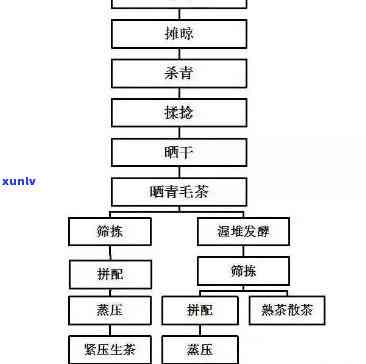 生普茶 *** 工艺程序-生普茶 *** 工艺程序是什么