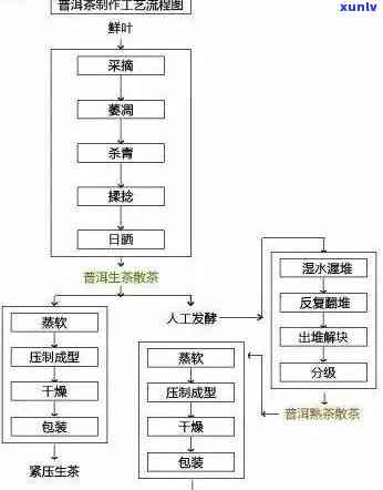 生普工艺 *** 流程图纸，生普工艺 *** 流程图纸：详尽指南与实用示范