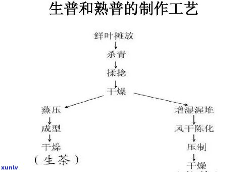 生普茶 *** 工艺要求-生普茶 *** 工艺要求有哪些