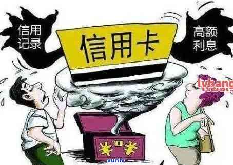 云南红茶知名排行榜：探索口感与品质的滇红茶