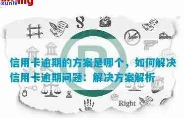 信用卡逾期后申请方案是什么，信用卡逾期后的应对方案大揭秘