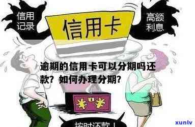 逾期信用卡怎么才能分期还款及分期还清