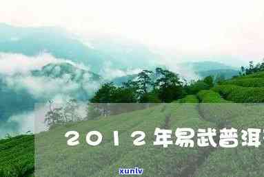 2012年易武生普勐海，2012年易武生普勐海：一场茶叶的时光之旅