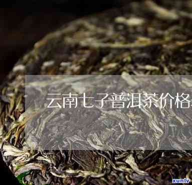 十年以上的云南七子茶价格查询