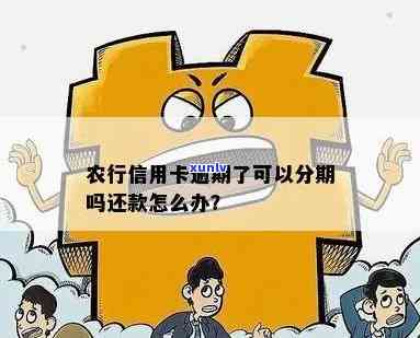 紫金农行信用卡逾期还款-紫金农行信用卡逾期还款怎么办