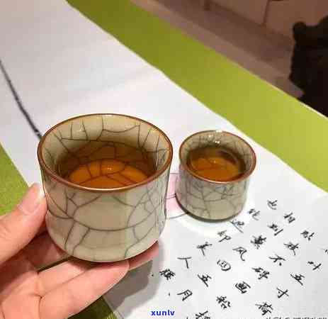 生普用什么水泡好喝？茶具、水需知