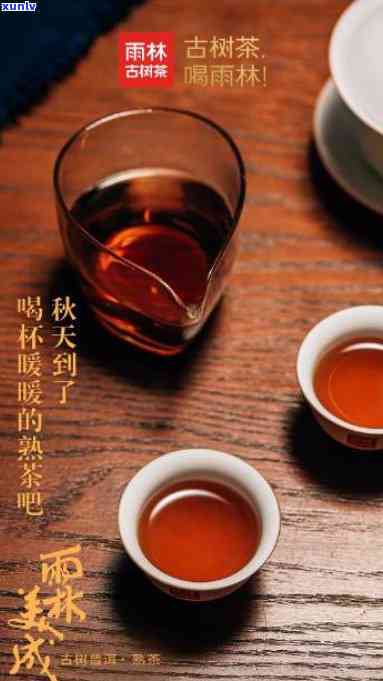 雨林古树茶生茶熟茶怎么喝，雨林古树茶：生茶、熟茶，品味之道