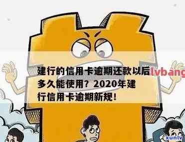 建行信用卡2020逾期新规，2020年建行信用卡逾期新规：你需要了解的关键信息