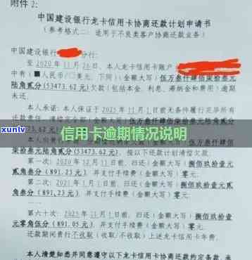 办房贷信用卡逾期要怎么写说明书？房贷信用卡逾期影响及应对措