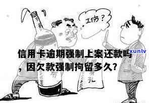 因信用卡欠款强制拘留多久可消除？