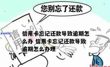 信用卡逾期了卡号忘了-信用卡逾期了卡号忘了怎么办