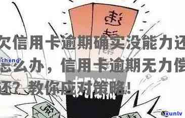 信用卡逾期确定无力偿还怎么办？