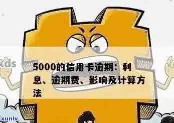 信用卡欠5000逾期后果-信用卡欠5000逾期后果是什么