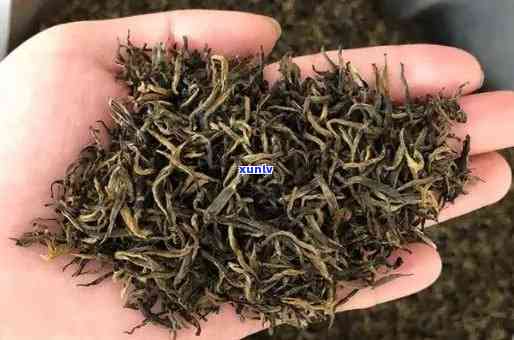 果敢茶属于什么茶 种类及特点，古树茶图片