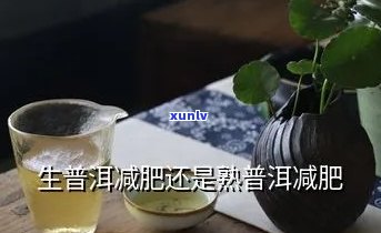 为什么生普能减肥？